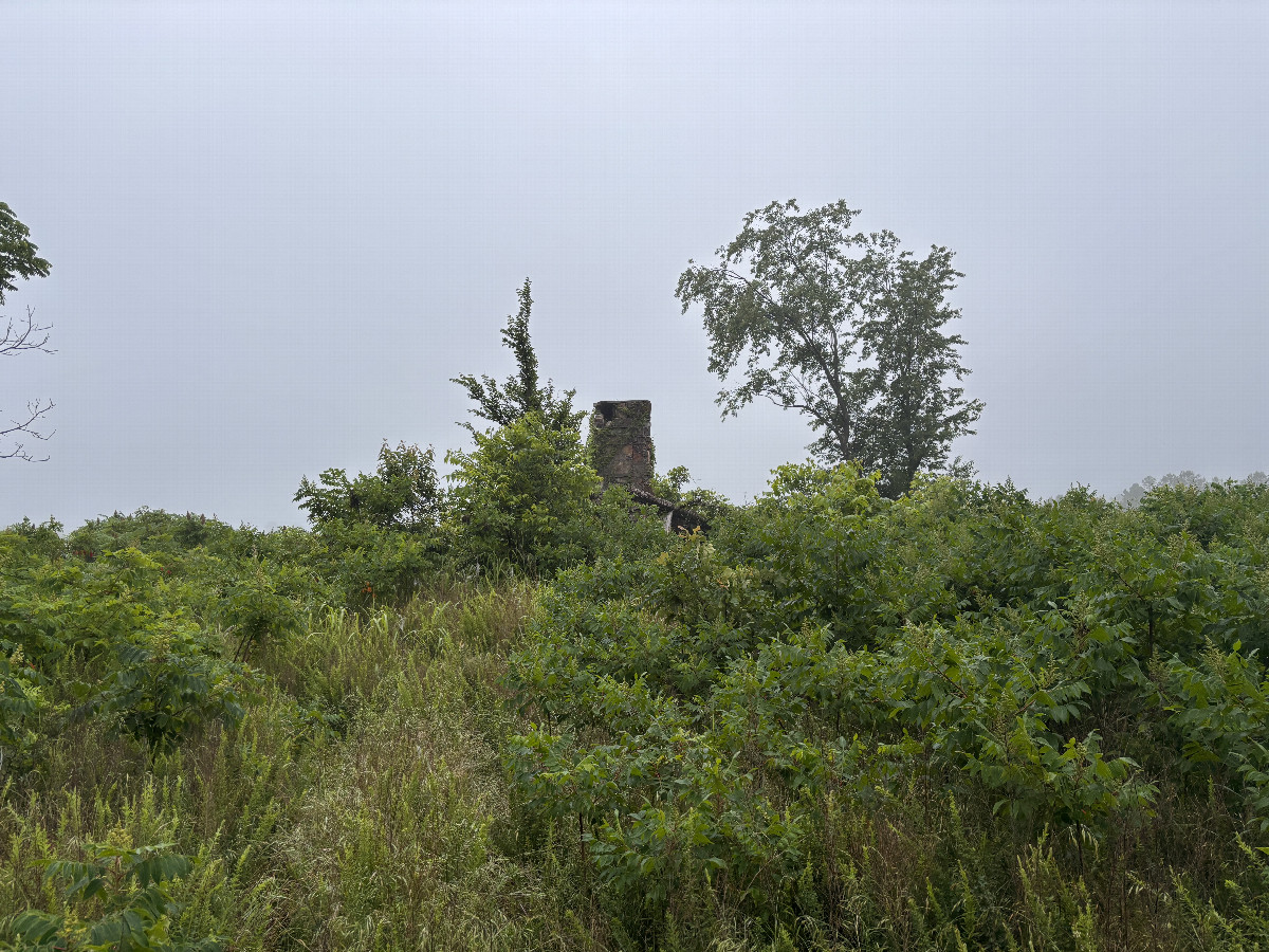 Homestead ruin en route to the confluence. 