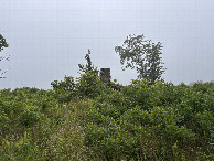 #12: Homestead ruin en route to the confluence. 