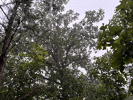 #9: Sky at confluence. 