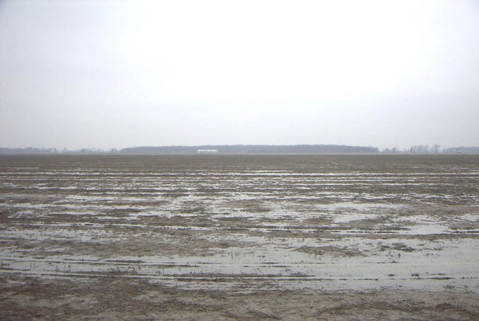 View of the confluence 400 feet to the east, facing west.