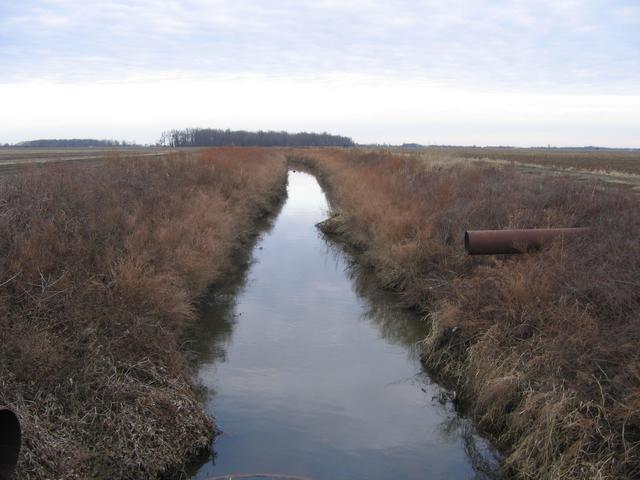 Picture of irrigation ditch from the gravel road
