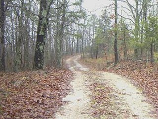 #1: Panoramic view from the confluence