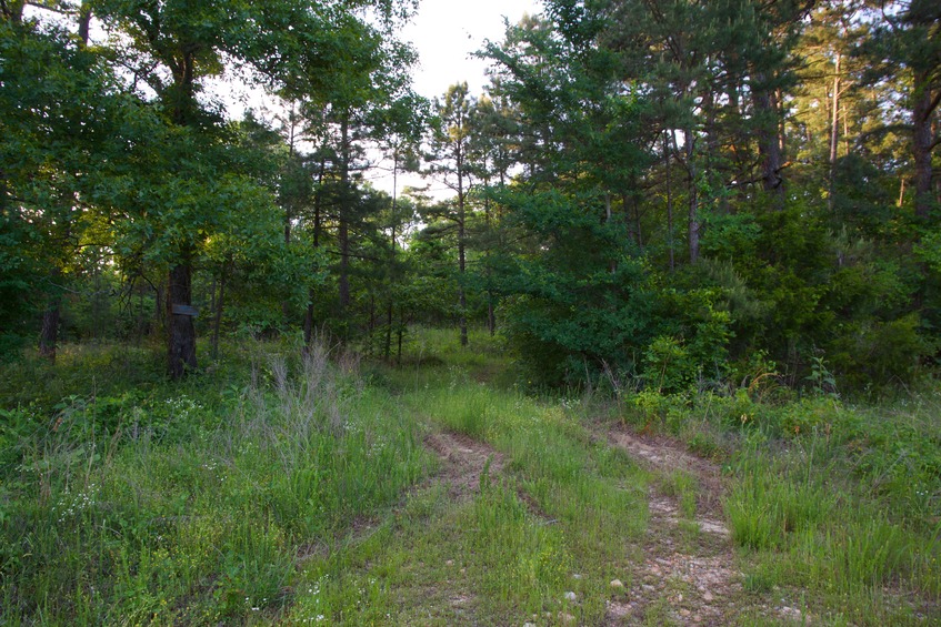 This double track path - off highway 9 - leads to the point