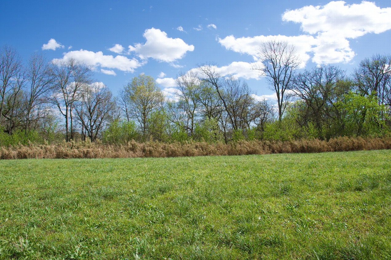 The confluence point lies in a farm field, next to a road.  (This is also a view to the South.)