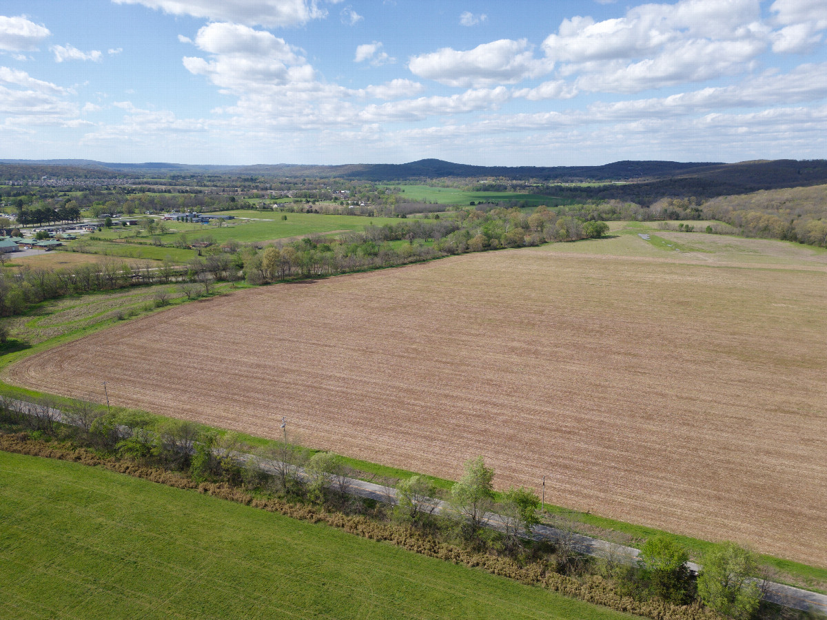 View North, from 120m above the point