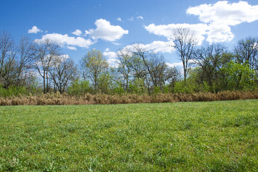 #1: The confluence point lies in a farm field, next to a road.  (This is also a view to the South.)