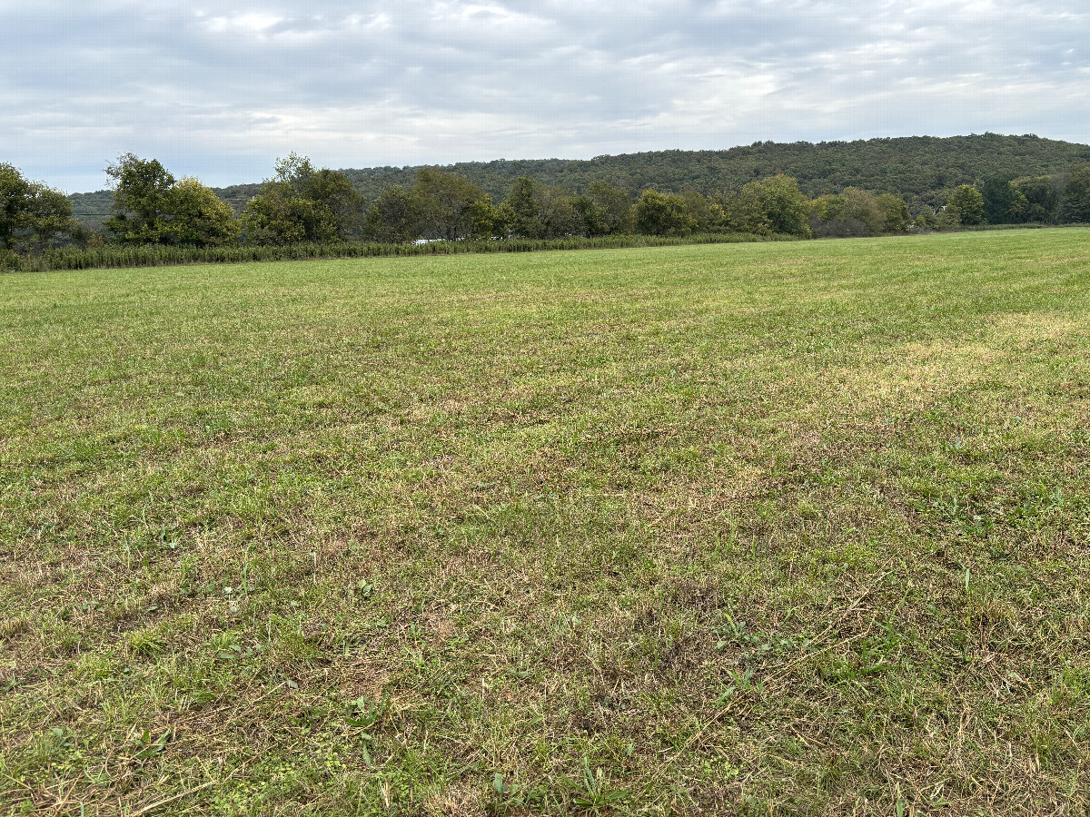 The confluence lies in the foreground of this photo looking northeast.  