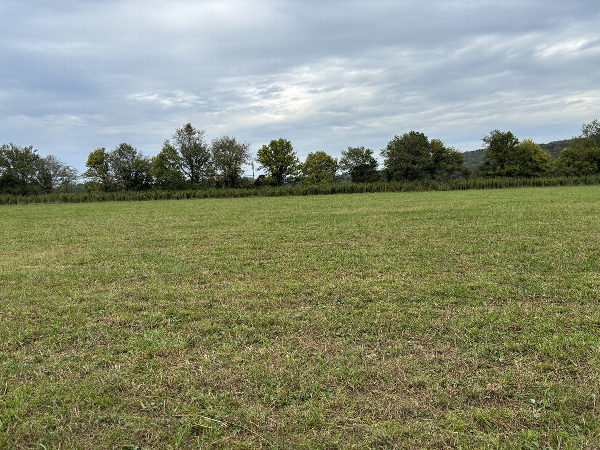 View from the confluence point looking north. 