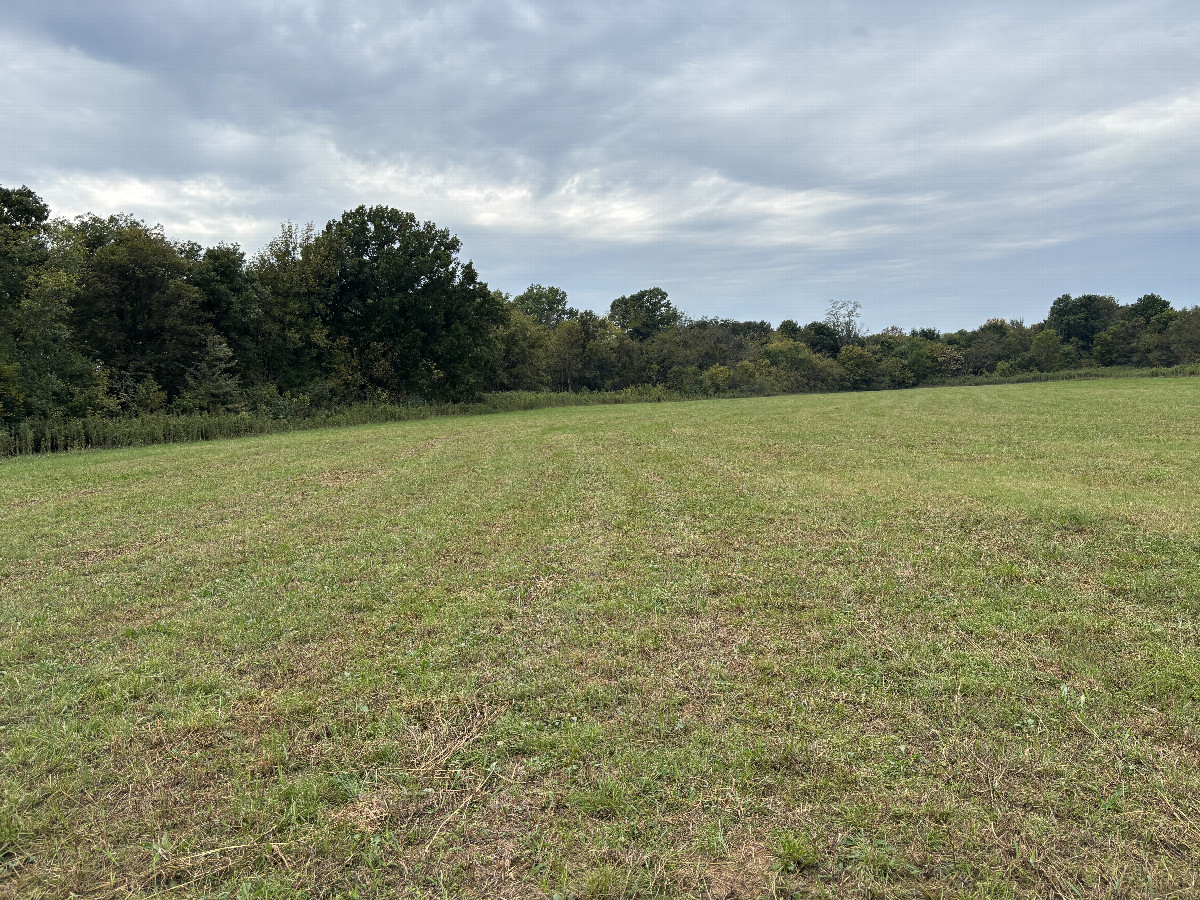 View to the west from the confluence point. 
