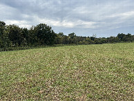 #5: View to the west from the confluence point. 
