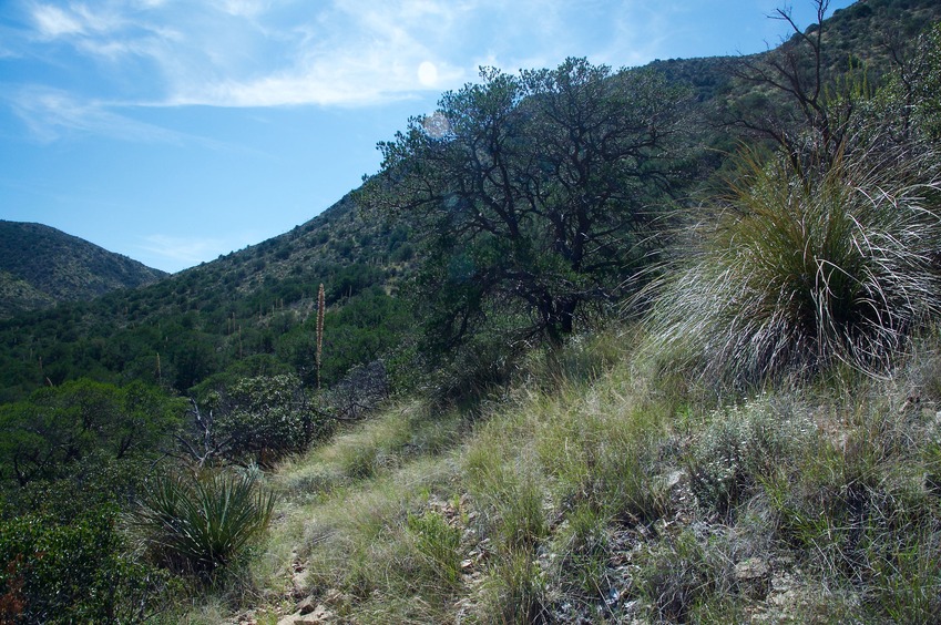 View South (along the hillside)