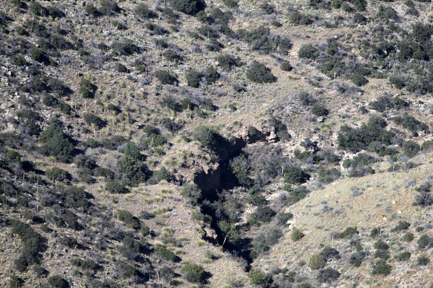 Post recovery review of my pictures shows the quadcopter - can you see it? Even at full resolution it was a challenge