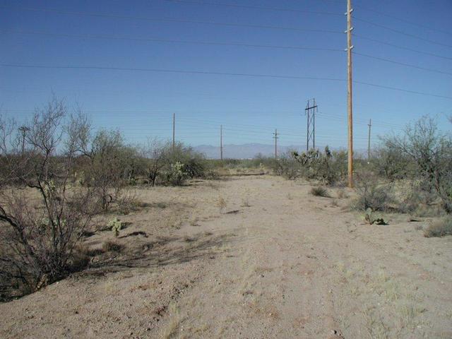 Looking North