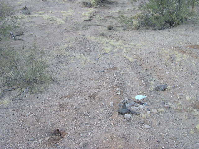 The confluence point.  (Are these rocks supposed to be a cairn?  I'm not sure.)