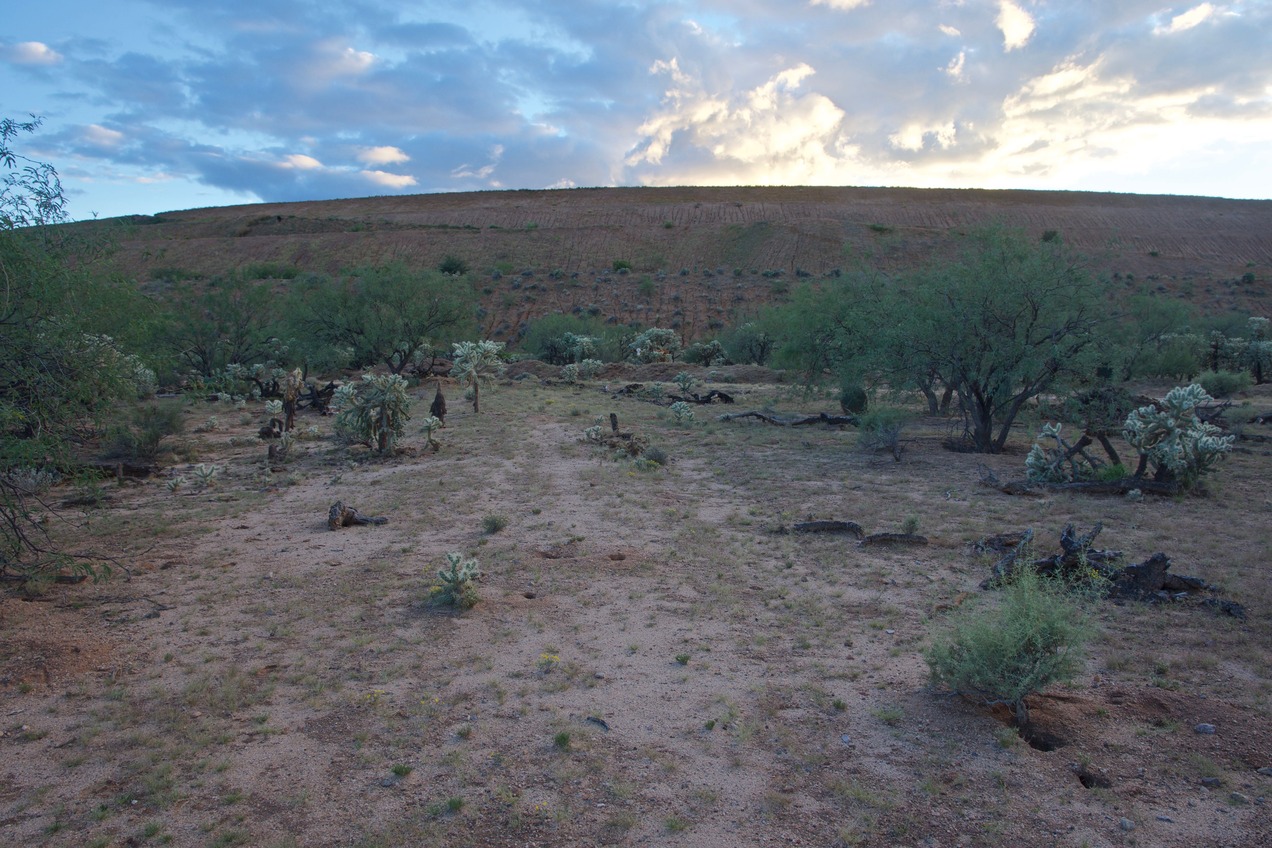 View South (towards the bank of a large reclamation pond, filled with tailings from a nearby mine)