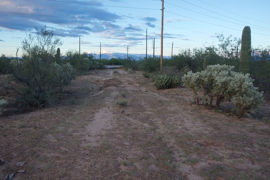 #1: The confluence point lies on this old road cut, with cactus on each side. (This is also a view to the North, towards W. Pima Mine Road, 0.1 miles away.)
