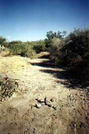 #1: X marks the spot