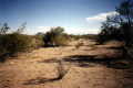 #5: Looking north along the riverbed