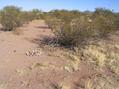 #6: The rock pile at the confluence.