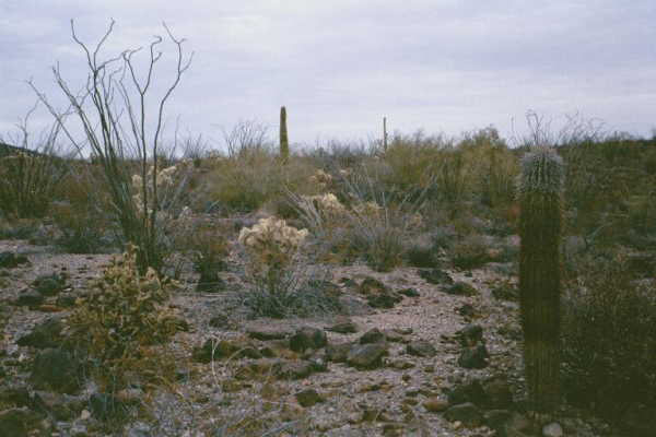 Another view from the confluence point.