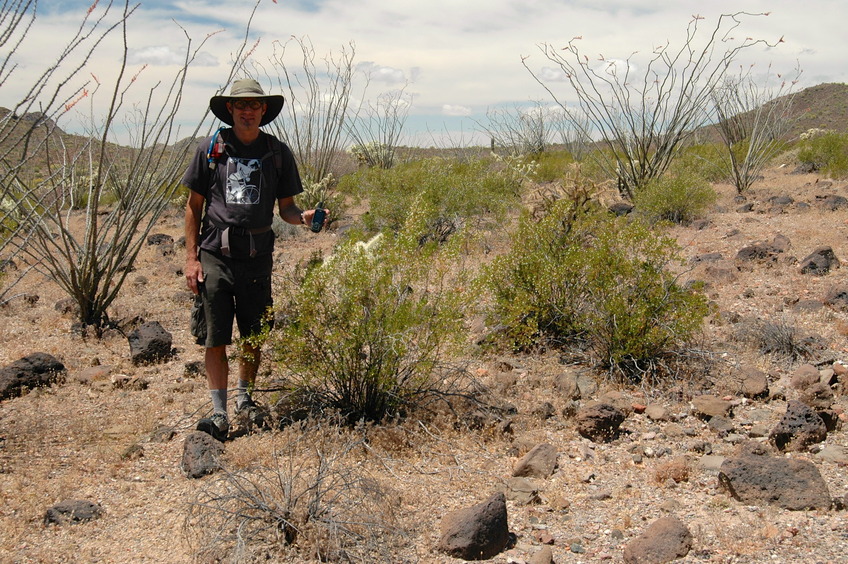 The confluence is in the creosote bush