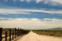 #8: Looking west along the border fence