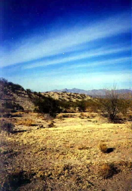 Looking north from confluence