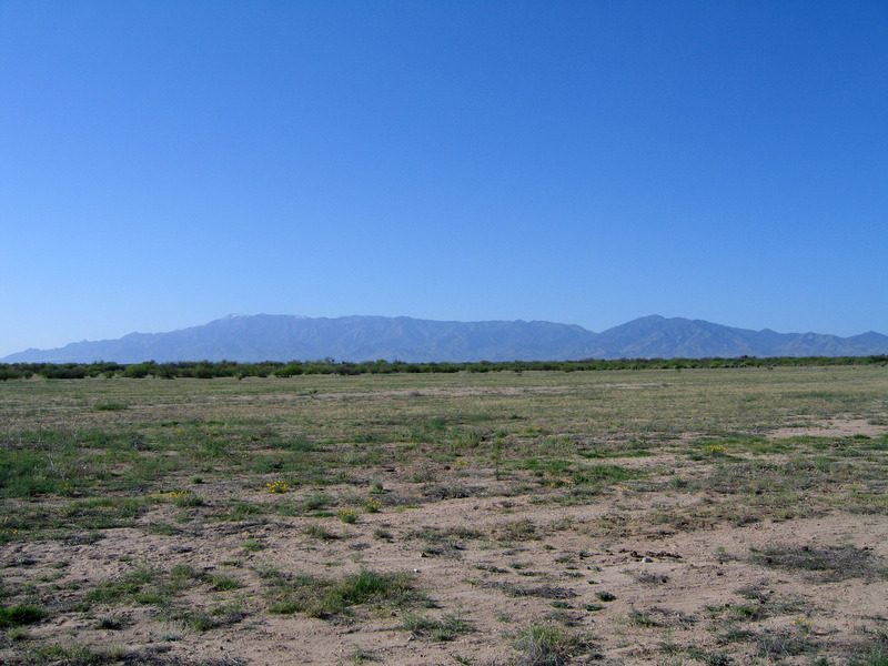 Looking South towards Mt Graham