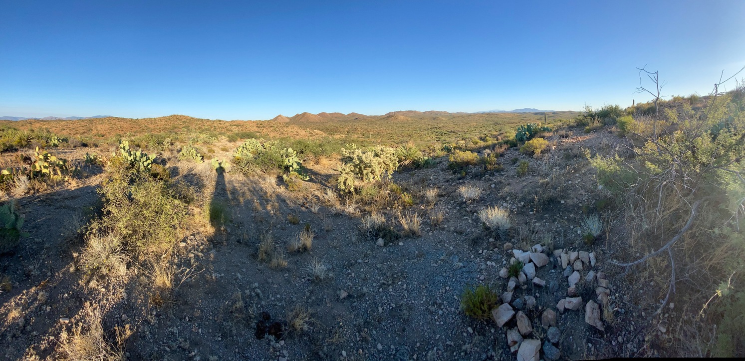 A panoramic view (North-East-South) from the confluence point