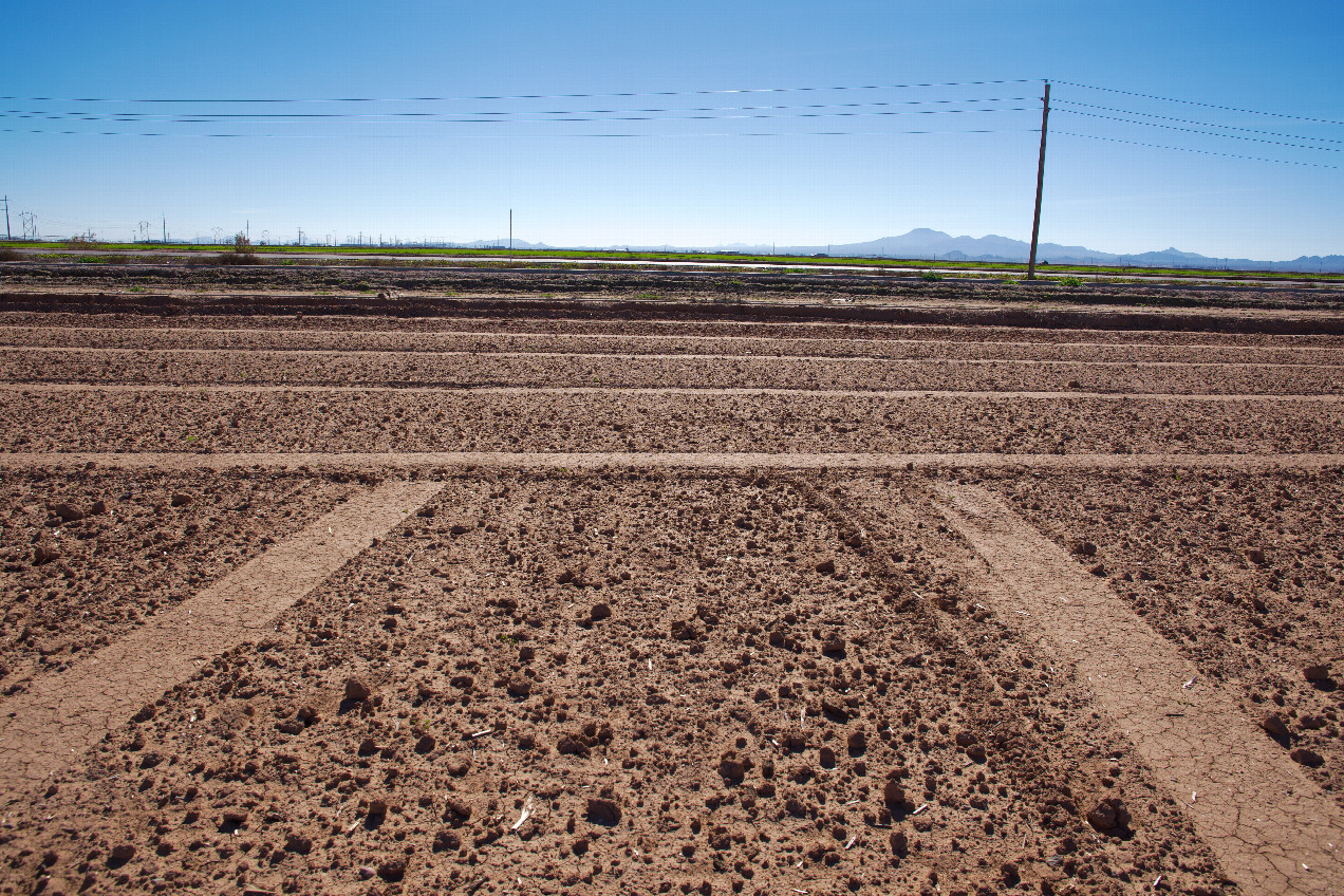 The confluence point in a (currently fallow) field.  (This is also a view to the South, across an irrigation canal, towards a nearby road.)