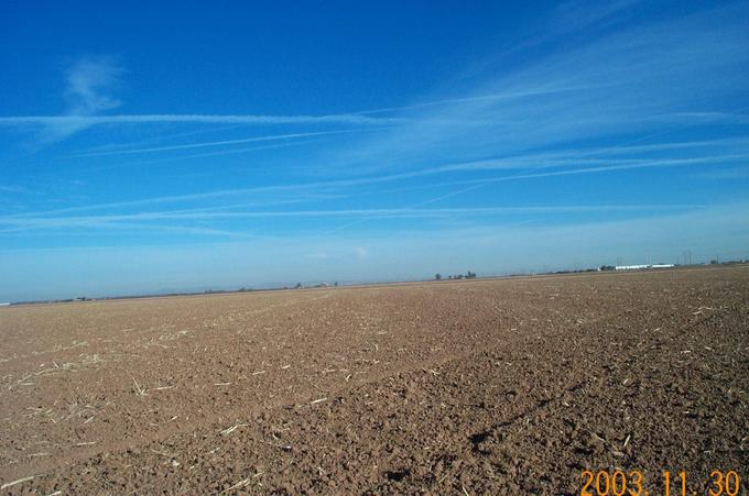 Looking North