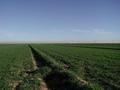 #2: Looking North