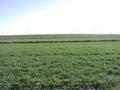 #3: Looking East
