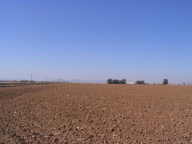 West view of some buildings.