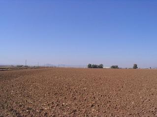 #1: West view of some buildings.