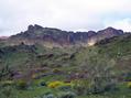 #10: Incredible greens and flowers of every color - dormant here for dozens of years until the magic effects of rain transform the area into a wonderland