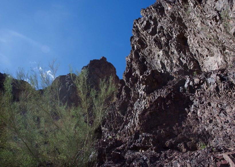 Looking west towards the confluence point, 300 feet away - on the rock face behind the bush