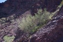 #2: View South from 300 feet east of the point