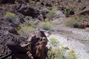 #9: Equipment from an old mine, at 33.01275°N 113.98247°W, 1.34 miles northeast of the point. (The mineshaft is visible at the rear.)