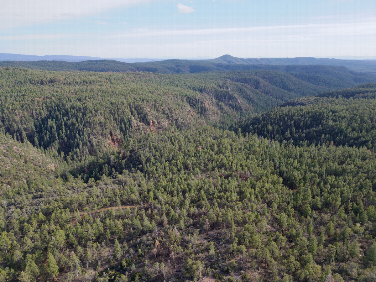 View South, from 120m above the point