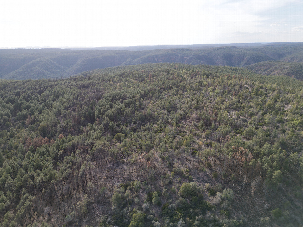 View West, from 120m above the point