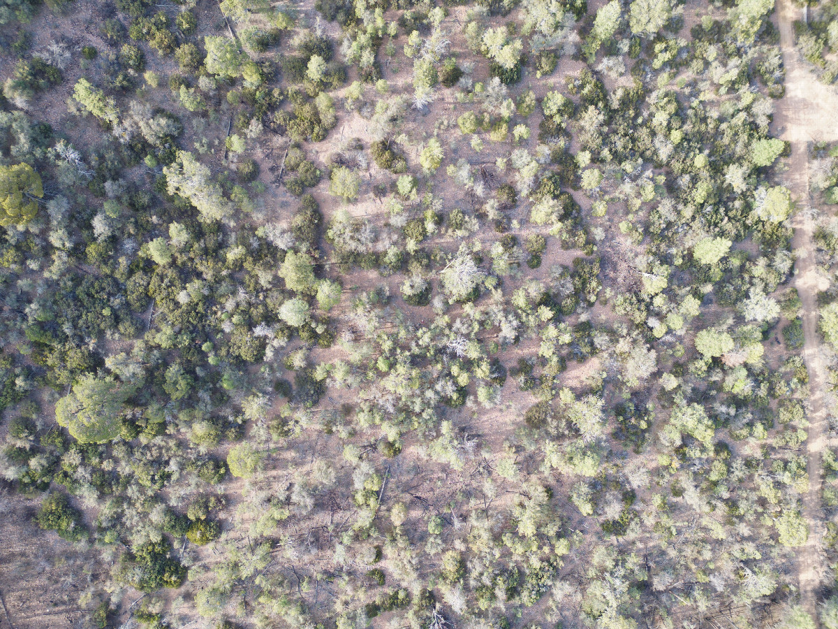 Looking down on the point from a height of 120m