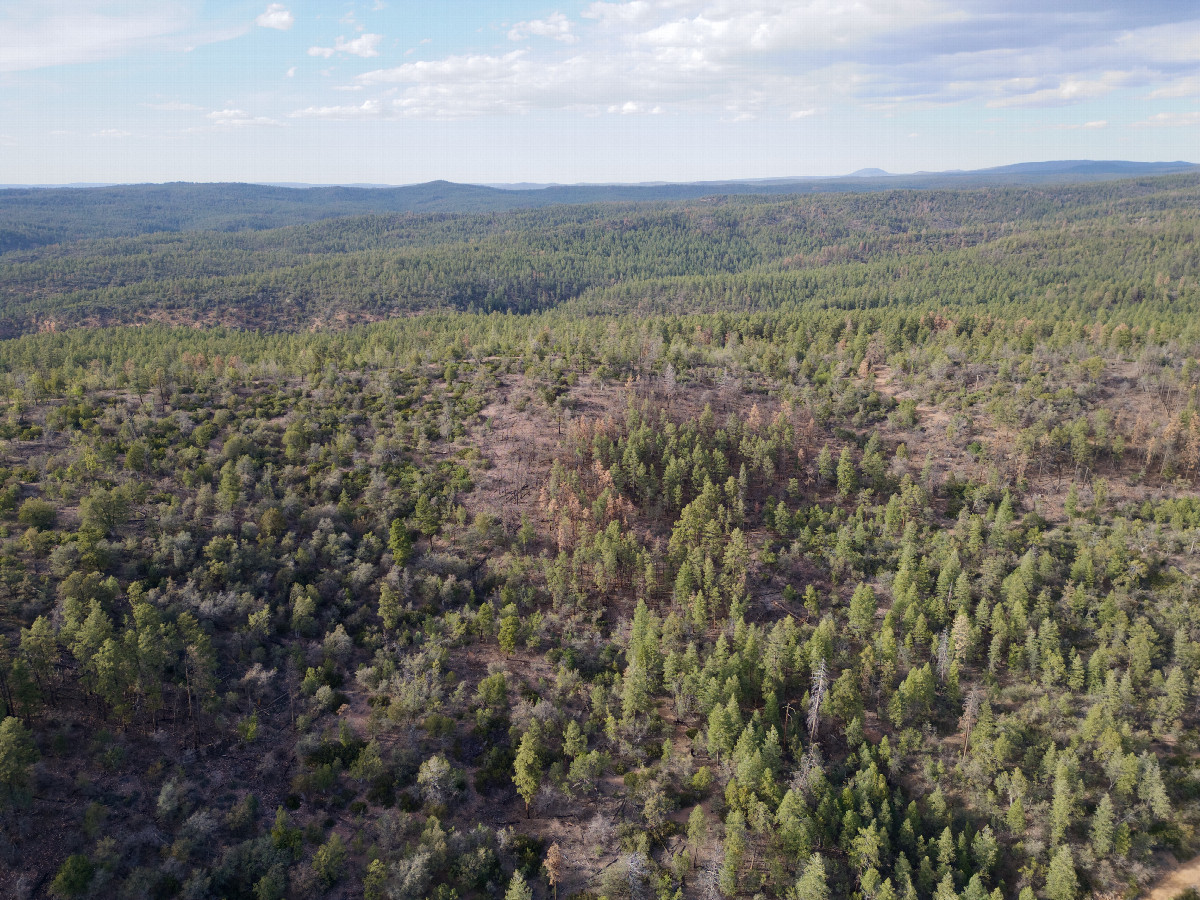 View North, from 120m above the point