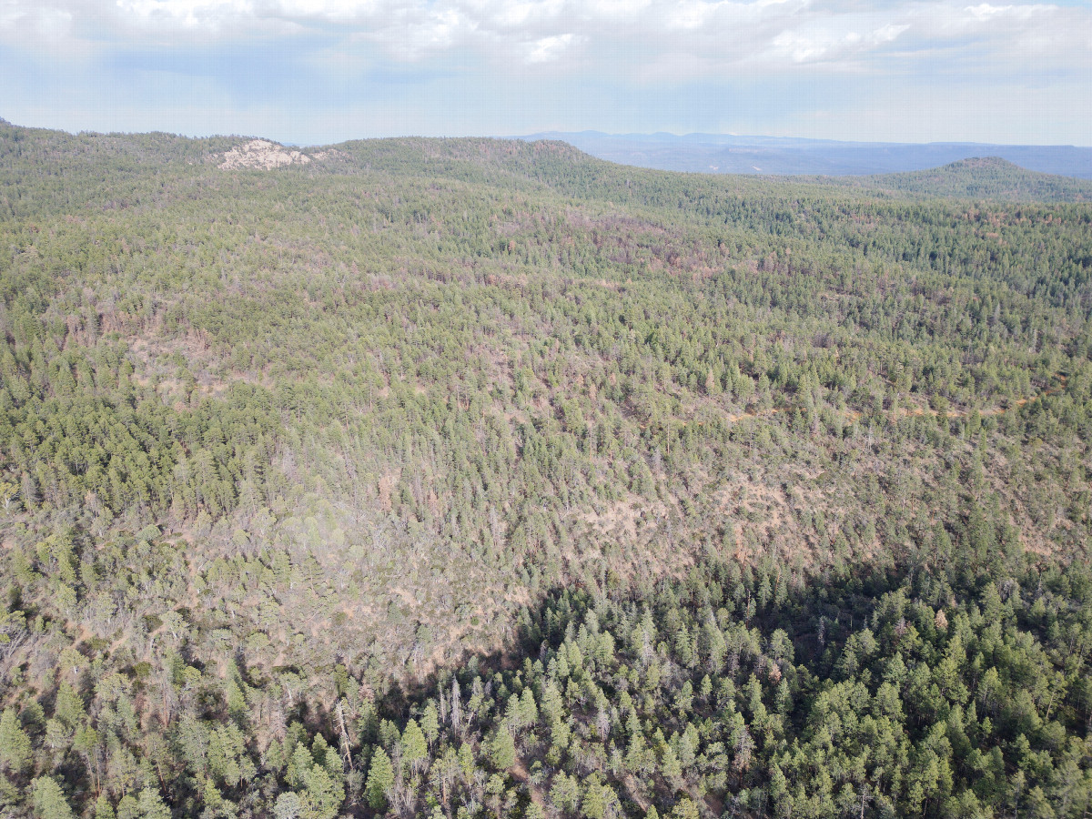 View East, from 120m above the point