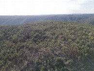 #11: View West, from 120m above the point
