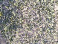 #7: Looking down on the point from a height of 120m