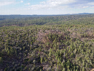 #8: View North, from 120m above the point