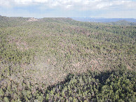 #9: View East, from 120m above the point