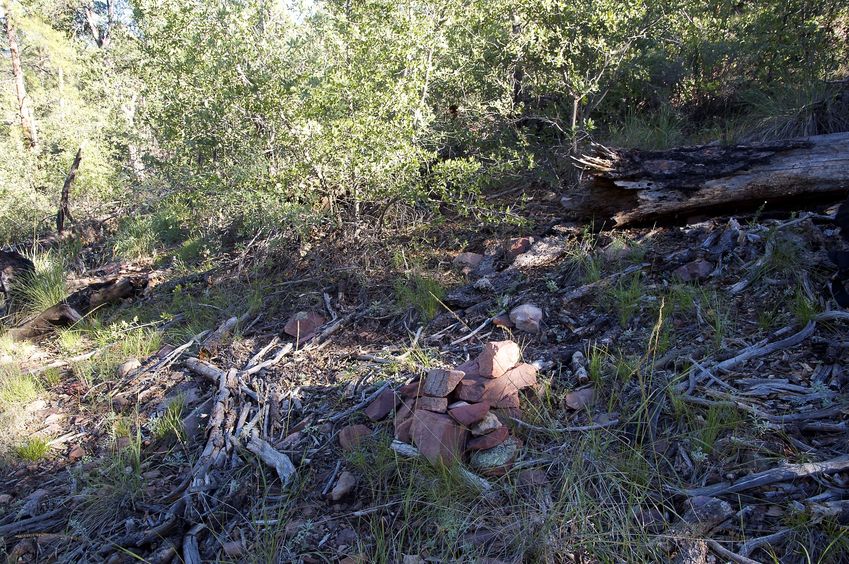 The confluence point lies among downed trees on a north-facing slope.  (A rock cairn - left by previous visitors - marks the point.)