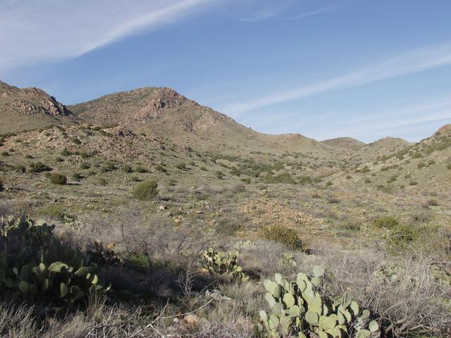 View from the confluence